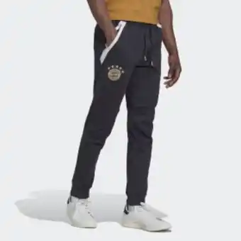 Adidas Fc bayern travel pants offer