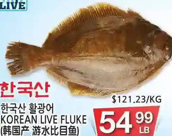 H-Mart Korean live fluke offer