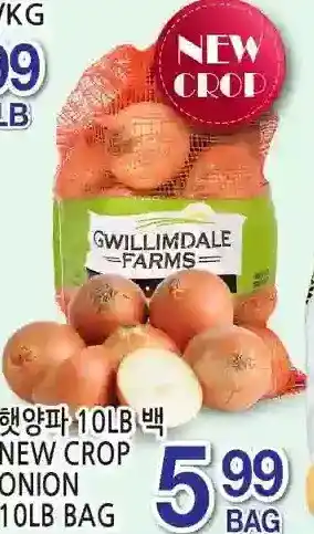 H-Mart New crop onion offer