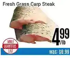 Nations Fresh Foods Fresh grass carp steak offer