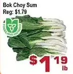 Top Food Supermarket Bok choy sum offer