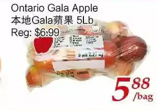 Tone Tai Supermarket Ontario gala apple offer