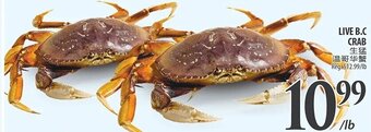 Al Premium Food Mart Live B.C Crab offer