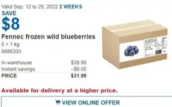 Costco Fennec Frozen Wild Blueberries offer