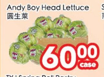 Superking Supermarket Andy boy head lettuce offer