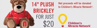 The Brick 14" plush brickley offer