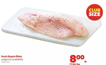 Real Canadian Superstore Fresh tilapia fillets offer