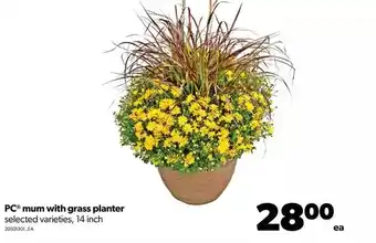 Real Canadian Superstore Pc mum with grass planter offer