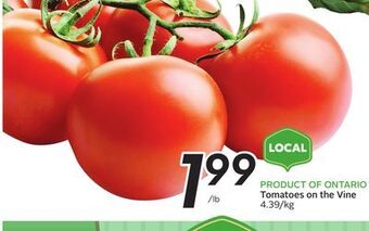 Sobeys Tomatoes on the vine offer