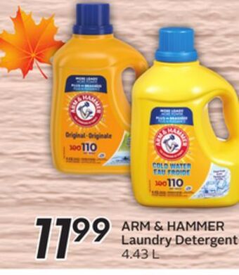 Sobeys Arm & hammer laundry detergent - 95 air miles® bonus miles offer