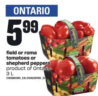 Loblaws Field or roma tomatoes or shepherd peppers, 3 l offer