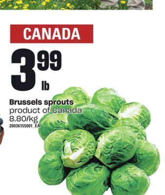Loblaws Brussels sprouts offer