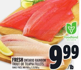 Metro Fresh ontario rainbow trout or tilapia fillets offer