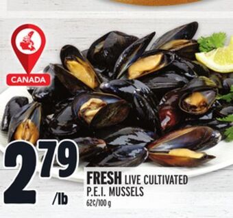 Metro Fresh live cultivated p.e.i. mussels offer