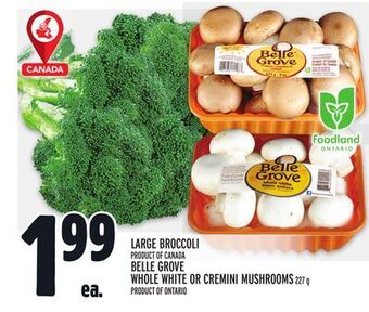 Metro Large broccoli offer