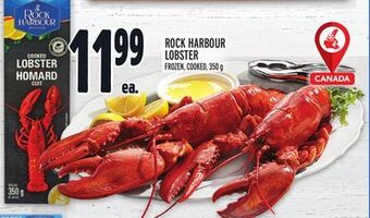Metro Rock harbour lobster offer