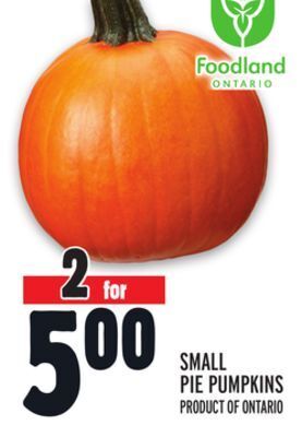 Metro Small pie pumpkins offer