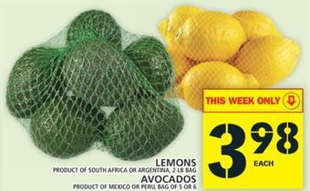 Food Basics Lemons or avocados offer