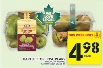 Food Basics Bartlett or bosc pears offer