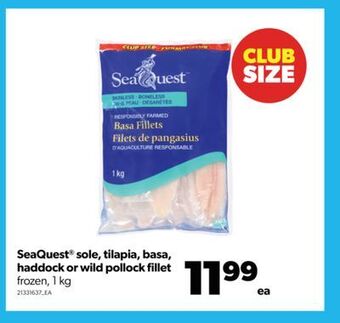 Real Canadian Superstore Seaquest® sole, tilapia, basa, haddock or wild pollock fillet, 1 kg offer