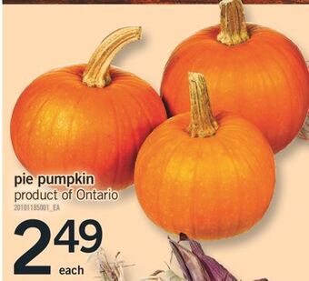 Fortinos Pie pumpkin offer