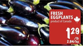 Farm Boy Fresh eggplants offer