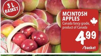 Farm Boy Mcintosh apples offer