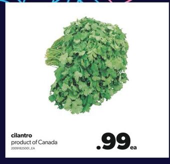 Real Canadian Superstore Cilantro offer