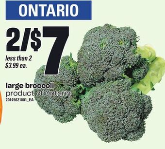 Zehrs Markets Large broccoli offer