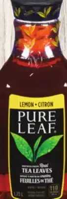 Giant Tiger Pure leaf offer