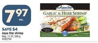 Giant Tiger Aqua star shrimp offer
