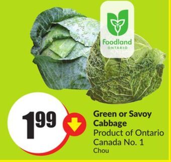 Chalo FreshCo Green or savoy cabbage product of ontario canada no. 1 offer