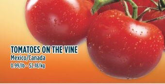 Marché Adonis Tomatoes on the vine offer