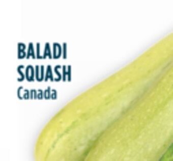 Marché Adonis Baladi squash offer