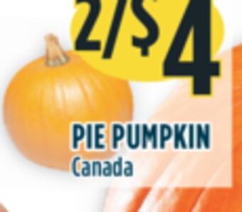 Marché Adonis Pie pumpkin offer