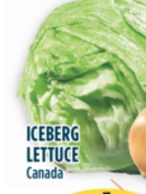 Marché Adonis Iceberg lettuce offer