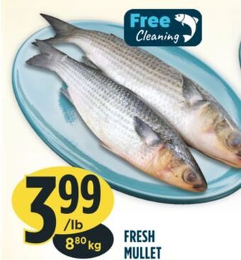 Marché Adonis Fresh mullet offer