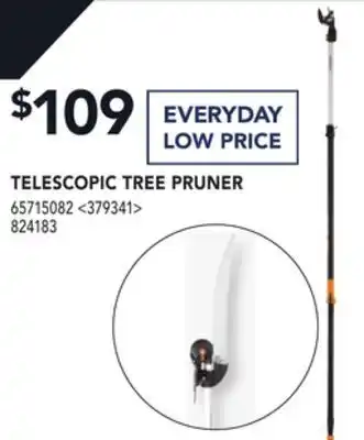 RONA Fiskars telescopic tree pruner offer