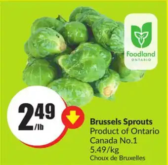 FreshCo Brussels sprouts product of ontario canada no. 1 5.49/kg offer