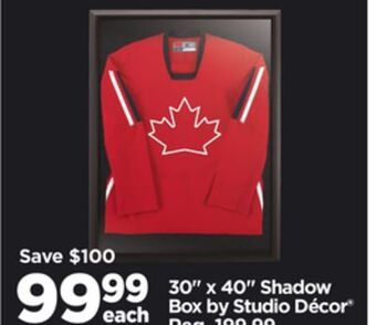 Michaels 30 x 40 shadow box by studio décor® offer
