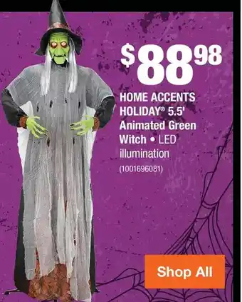 Home Depot Home accents holiday 5.5' animated green witch offer