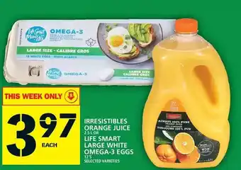 Food Basics Irresistibles orange juice or life smart large white omega-3 eggs offer