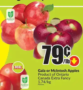 FreshCo Gala or mcintosh apples offer