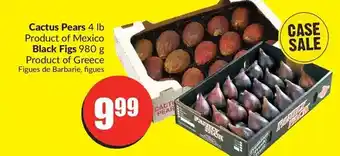 FreshCo Cactus pears | black figs offer