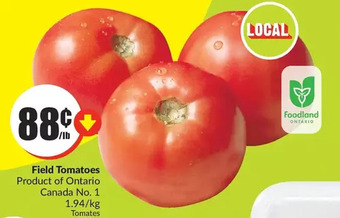 FreshCo Field tomatoes offer