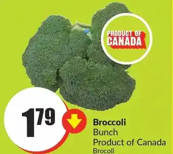 FreshCo Broccoli offer