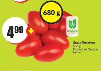 FreshCo Grape tomatoes offer