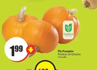 FreshCo Pie pumpkin offer