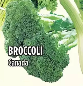 Marché Adonis Broccoli offer