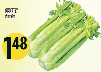 Marché Adonis Celery offer